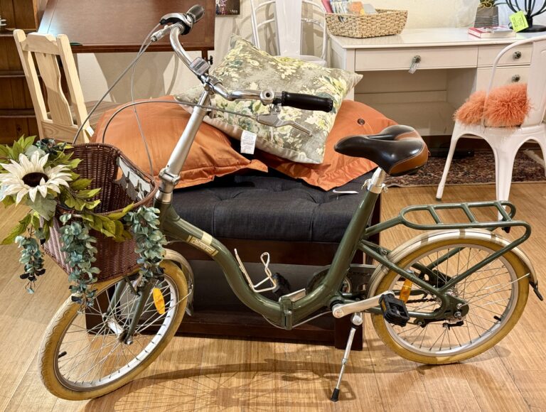 Citizen folding cruiser bike