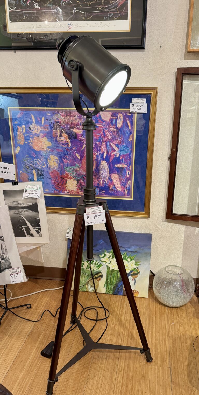Kaoyi tripod floor lamp